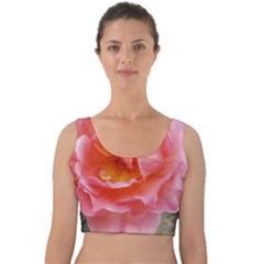 Pink Rose Velvet Crop Top by okhismakingart