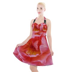 Pink Rose Halter Party Swing Dress  by okhismakingart