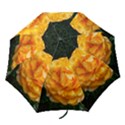 Yellow Rose Folding Umbrellas View1