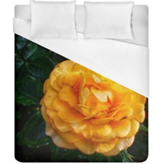 Yellow Rose Duvet Cover (california King Size) by okhismakingart