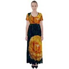 Yellow Rose High Waist Short Sleeve Maxi Dress by okhismakingart