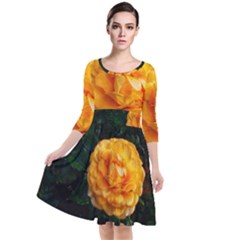 Yellow Rose Quarter Sleeve Waist Band Dress