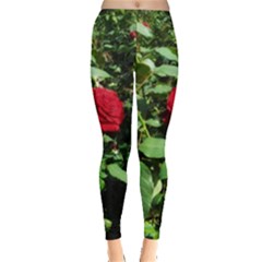 Deep Red Rose Leggings  by okhismakingart