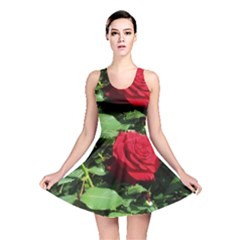 Deep Red Rose Reversible Skater Dress