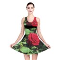 Deep Red Rose Reversible Skater Dress View1