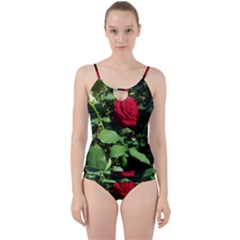 Deep Red Rose Cut Out Top Tankini Set by okhismakingart