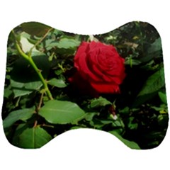 Deep Red Rose Head Support Cushion by okhismakingart