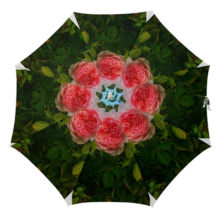 Complex Pink Rose Straight Umbrellas