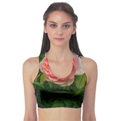 Complex Pink Rose Sports Bra by okhismakingart