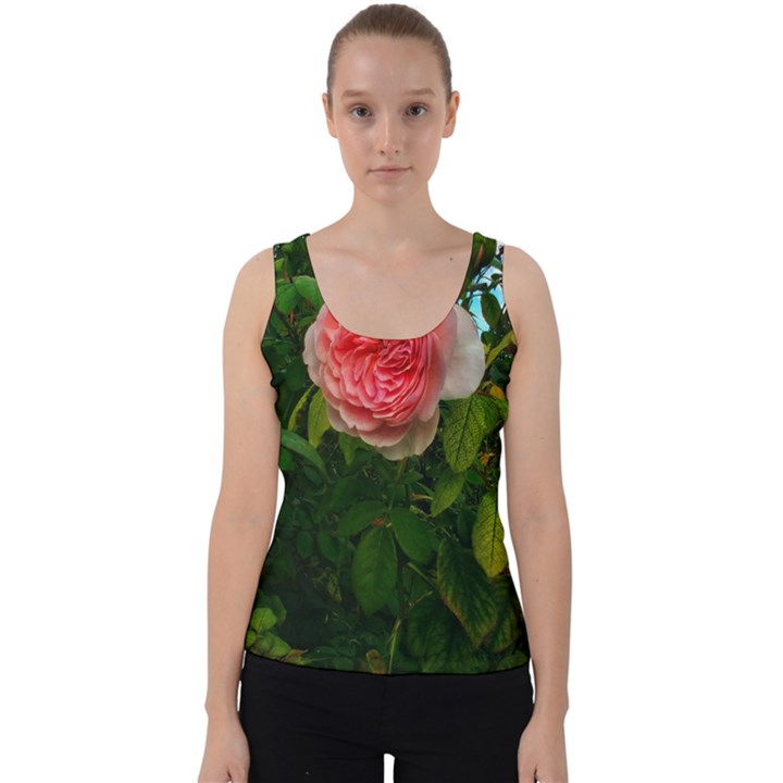 Complex Pink Rose Velvet Tank Top