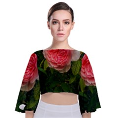 Complex Pink Rose Tie Back Butterfly Sleeve Chiffon Top