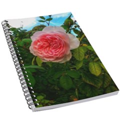 Complex Pink Rose 5 5  X 8 5  Notebook by okhismakingart