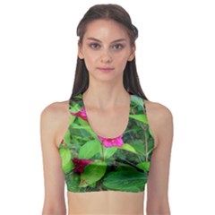 Purple Park Flowers Sports Bra by okhismakingart