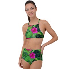 Purple Park Flowers High Waist Tankini Set by okhismakingart