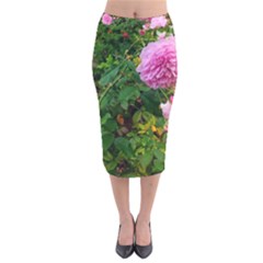 Light Pink Roses Velvet Midi Pencil Skirt by okhismakingart