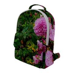 Light Pink Roses Flap Pocket Backpack (large) by okhismakingart