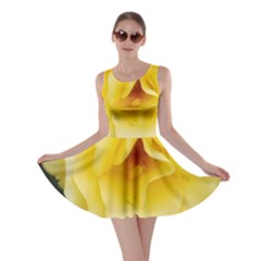 Pale Yellow Rose Skater Dress by okhismakingart