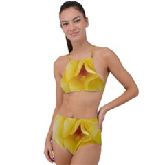 Pale Yellow Rose High Waist Tankini Set by okhismakingart