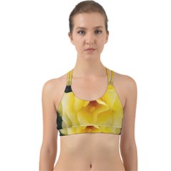 Pale Yellow Rose Back Web Sports Bra by okhismakingart