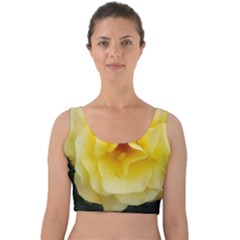 Pale Yellow Rose Velvet Crop Top by okhismakingart