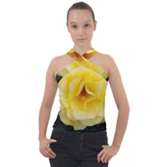 Pale Yellow Rose Cross Neck Velour Top