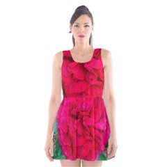 Folded Red Rose Scoop Neck Skater Dress by okhismakingart