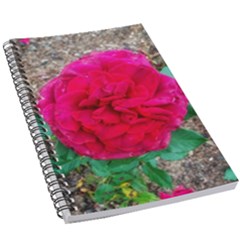 Folded Red Rose 5 5  X 8 5  Notebook by okhismakingart