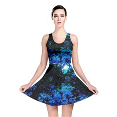 Cascade Of Flowers Reversible Skater Dress by okhismakingart