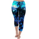 Cascade of Flowers Capri Winter Leggings  View4