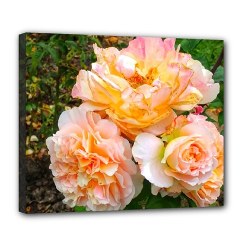 Bunch Of Orange And Pink Roses Deluxe Canvas 24  X 20  (stretched) by okhismakingart