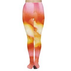 Light Orange And Pink Rose Tights by okhismakingart