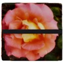 Light Orange and Pink Rose Seat Cushion View4