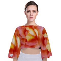 Light Orange And Pink Rose Tie Back Butterfly Sleeve Chiffon Top