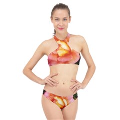 Light Orange And Pink Rose High Neck Bikini Set by okhismakingart