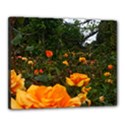 Orange Rose Field Canvas 20  x 16  (Stretched) View1