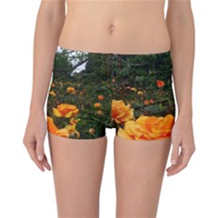 Orange Rose Field Reversible Boyleg Bikini Bottoms by okhismakingart