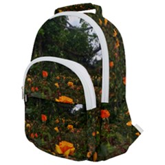 Orange Rose Field Rounded Multi Pocket Backpack