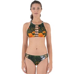 Orange Rose Field Perfectly Cut Out Bikini Set by okhismakingart