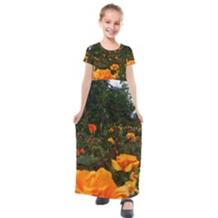 Orange Rose Field Kids  Short Sleeve Maxi Dress by okhismakingart