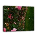 Pink Rose Field (Sideways) Canvas 14  x 11  (Stretched) View1