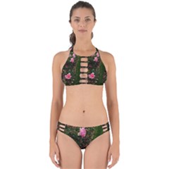 Pink Rose Field (sideways) Perfectly Cut Out Bikini Set by okhismakingart