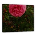 Round Pink Rose Canvas 24  x 20  (Stretched) View1