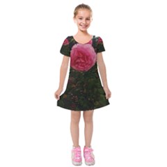 Round Pink Rose Kids  Short Sleeve Velvet Dress