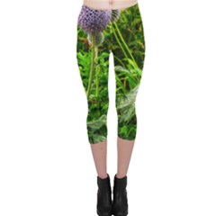 Purple Spherical Flower Capri Leggings  by okhismakingart