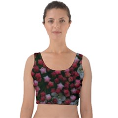 Floral Stars Velvet Crop Top by okhismakingart