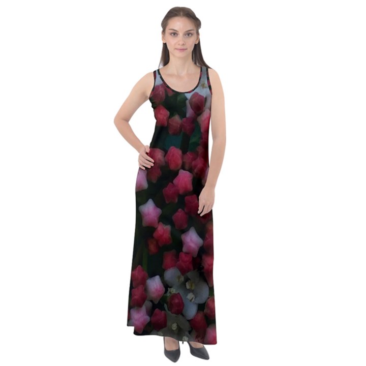 Floral Stars Sleeveless Velour Maxi Dress