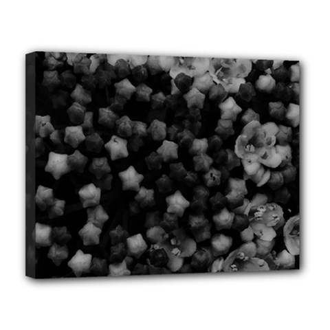 Floral Stars -black And White, High Contrast Canvas 14  X 11  (stretched) by okhismakingart