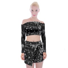 Floral Stars -black And White, High Contrast Off Shoulder Top With Mini Skirt Set by okhismakingart