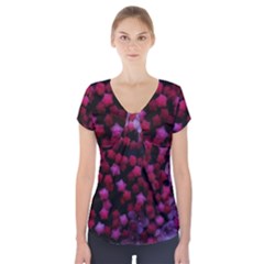 Floral Stars -purple Short Sleeve Front Detail Top