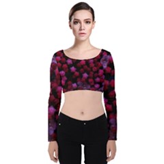 Floral Stars -purple Velvet Long Sleeve Crop Top by okhismakingart